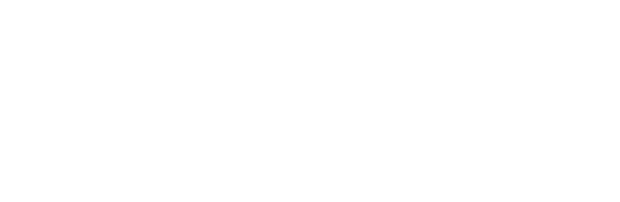 Stucker Schenk - Maler und Verputzer - Logo weiss